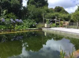 CHAMBRE DANS CABANE EN BOIS avec PISCINE ECOLOGIQUE
