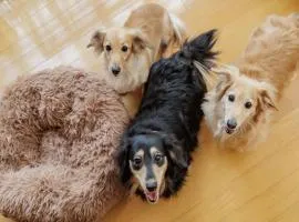 Wan Wan Paradise Nara Ikoma