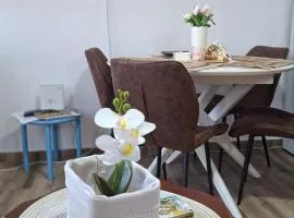 Apartman Raj