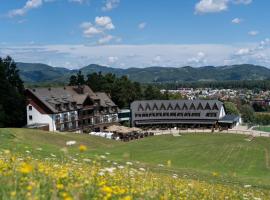 Hotel Arena Maribor，位于马里博尔的酒店