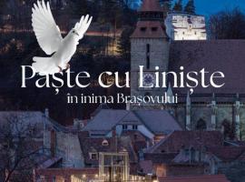 SCHUSTER Boarding House，位于布拉索夫的酒店