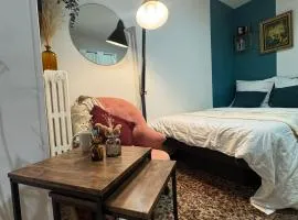 Beau studio proche gare