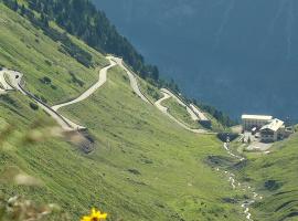 拜耳格弗朗森雪和酒店，位于塔弗伊的酒店