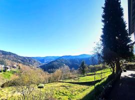 Ferienwohnung Panoramablick Bermersbach，位于福尔巴赫的酒店