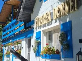 Pensiunea Floarea Dornei