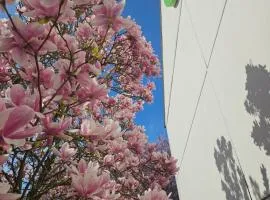 钟楼奥尔良西夏贝尔圣梅敏酒店
