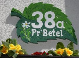 Penzion Pr' Betel，位于耶塞尼采的低价酒店