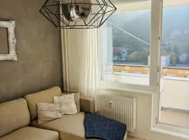 Apartmánový byt VYHNE
