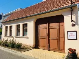 Vinařství Škarecký - Penzion u Staně