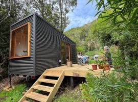 Pichi Cucao | Cabaña tipo Cabina en bosque nativo，位于Notuél的酒店