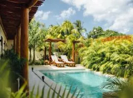 Shankara Holbox
