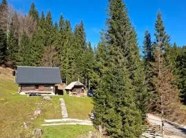 Brunarica na Goreljeku, Pokljuka