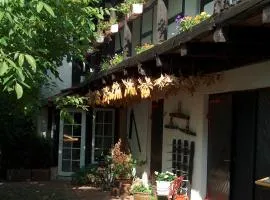 加尼欧玛“画廊宾馆”酒店