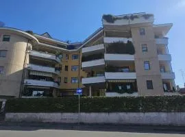 DG Apartment Busto