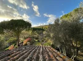 Villa Vasciano - Private Pool & AirCo