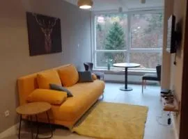 Apartament w Kozubniku