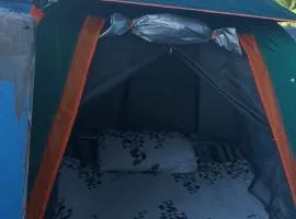 Panorama tent