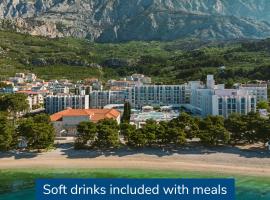 布鲁萨阿尔加酒店，位于图彻皮的酒店