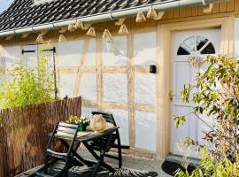 S'Hiesele petite maison alsacienne typique，位于Ittenheim的酒店