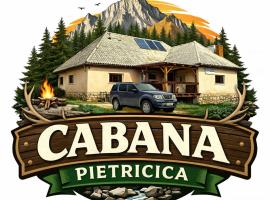 Cabana Pietricica，位于迪姆波维奇瓦拉的酒店