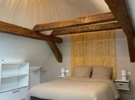 Duplex moderne au pied des vignes
