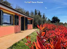 Villetta degli Ulivi, Terre Marine，位于Polverara的酒店