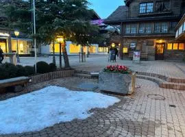 Le Vieux Chalet