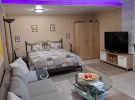 Apartment Curly