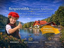 Self-check-in Ferienwohnungen & Apartments am Bergsee，位于特里贝格的酒店