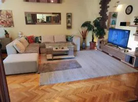 Two-Bedroom Apartment in Kumanovo