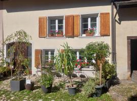 18th C Cottage near Basel, Hiking, Business, Couples, Families, Groups, Parking, Fast WiFi, Jura Mountains，位于Waldenburg的酒店
