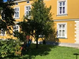 Löwenzahn