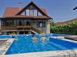 VILA COCA Sibiu