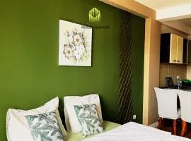 Mimosa Apartments - City Center