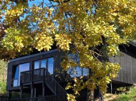 Nomad Hill Cabins，位于Rugineşti的酒店