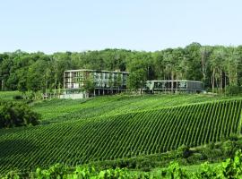 LOISIUM Wine & Spa Hotel Champagne，位于Mutigny的酒店