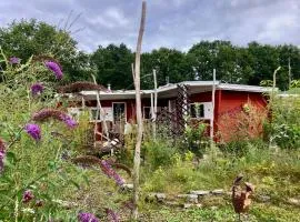 Chalet Vlinder, natuurlijk genieten in Drenthe!