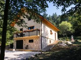 House sid forest