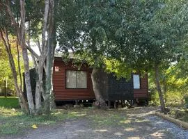 Cabaña Pingueral