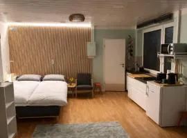 Studio im Auerbacher Ortskern nähe Fürstenlager