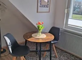 Apartment Ohrbergblick