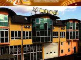 Hotel Džale，位于维索科的酒店