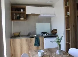 Studette hôtelière - Les Chalets du lac Belcaire