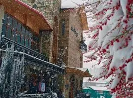 Hotel Alpine Musk