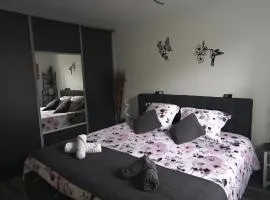 Appartement F3 situé au centre ville