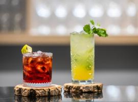 São Paulo Nações Unidas Affiliated by Meliá，位于圣保罗的酒店