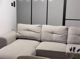 Modern Apartment in the Center of Żory