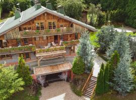 Magic Megève Bois，位于代米考迪亚的酒店