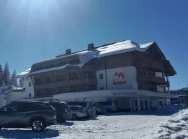 伯格霍夫酒店