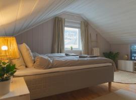 Cozy Nordic Attic with Smart TV & Modern Bathroom，位于德拉门的酒店